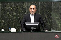 درخواست یک نماینده مجلس از اژه ای درباره پرونده کرسنت/ آقای پزشکیان! آیا شعار انتخاباتی‌ خود را فراموش کردید؟/ وزیران از مسئولیت شانه خالی می کنند