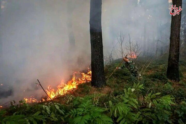 حریق در عرصه‌های جنگلی چالوس