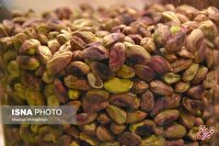 تأثیر مصرف پسته در شب بر میکروبیوم روده در مبتلایان پیش‌دیابت