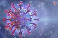 واکنش معاون وزیر بهداشت به اخبار «کرونای تیغی»