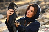 ۴ فیلم آماده نمایش و یک فیلم در پیش‌تولید؛ اکران «خاتی» در اولویت است