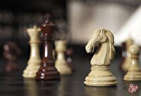 عکس| سه جام فرانسوی برای پسر ایرانی