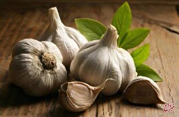 خطرناکترین روش نگهداری سیر که میتواند مرگبار باشد! خطرناکترین روش نگهداری سیر که میتواند مرگبار باشد!