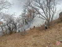 ادامه عملیات مهار آتش‌سوزی گسترده در جنگل‌های الیت چالوس