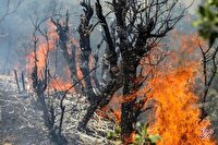 اعزام هواپیماهای اطفای حریق از ترکیه برای مهار آتش جنگل الیت