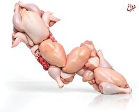 قیمت مرغ بازهم بالاتر می‌پرد؟