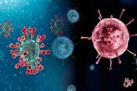 هشدار؛ شروع اپیدمی آنفلوآنزا / مصرف خودسرانه این دارو می‌تواند مرگبار باشد