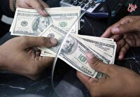 قیمت دلار، یورو و سایر ارزها امروز ۱۷ آذر/دلار در آستانه تغییر کانال قرار گرفت