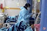 جزئیات مرگ و میر در اثر آنفولانزای نوع جدید؛ افزایش فوتی‌ها تقصیر آلودگی هواست؟