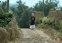 جشنواره جهانی فیلم فجر با نمایش فیلمی از عباس کیارستمی افتتاح می‌شود