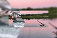 راهکار تشخیص ماهی سالمون دریا از ماهی پرورشی