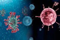 آنفلوآنزا در صدر عفونت‌های تنفسی/ وضعیت ابتلا در ۷ استان بالاتر از میانگین کشوری